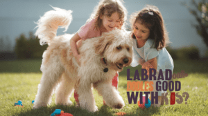 Read more about the article Are Labradoodles Good with Kids? 10 Expert-Backed Reasons Why They’re Perfect Family Dogs (2025 Guide)